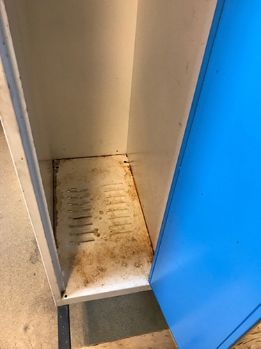 Lindesbers Fönsterputs och Städ bild01